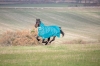 Shires Tempest Plus 200 Combo / 1200 Denier (RRP £96.99)